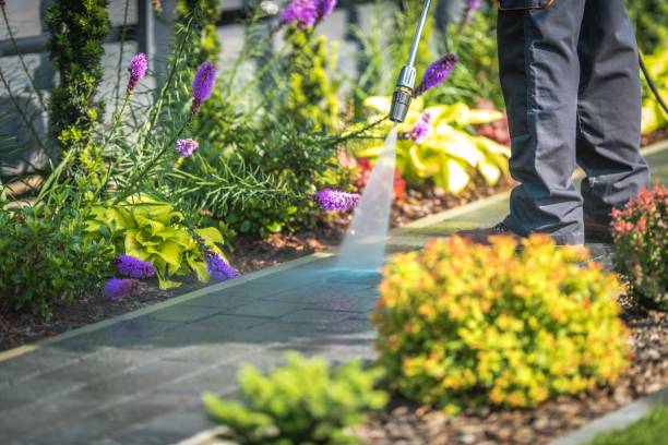 Winterizing Services in St Augustine, FL