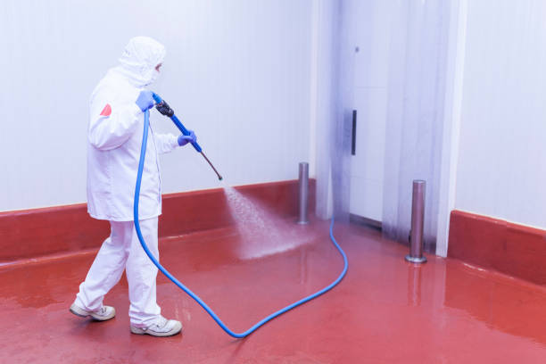 Best Pre-Holiday Cleaning  in St Augustine, FL